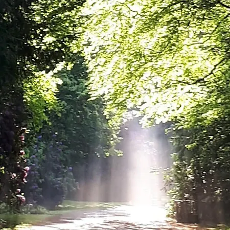 Altmarkblick