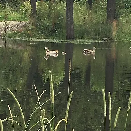 Altmarkblick Appartamento Erbenhausen