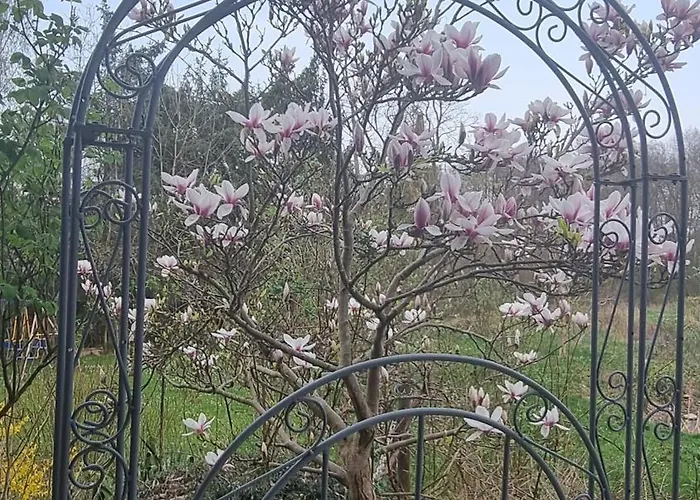 Apartment Altmarkblick Erbenhausen