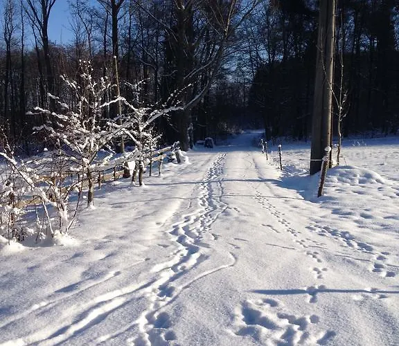 Altmarkblick Apartment *