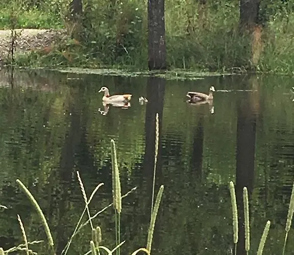 Altmarkblick Apartment Erbenhausen